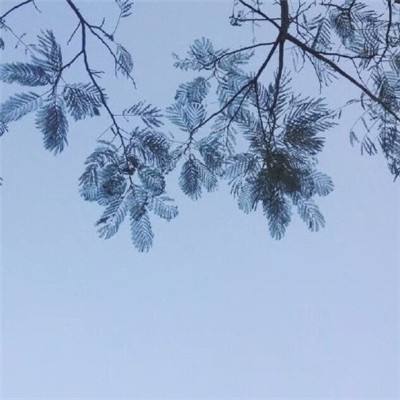 王者格斗内购破解版下载